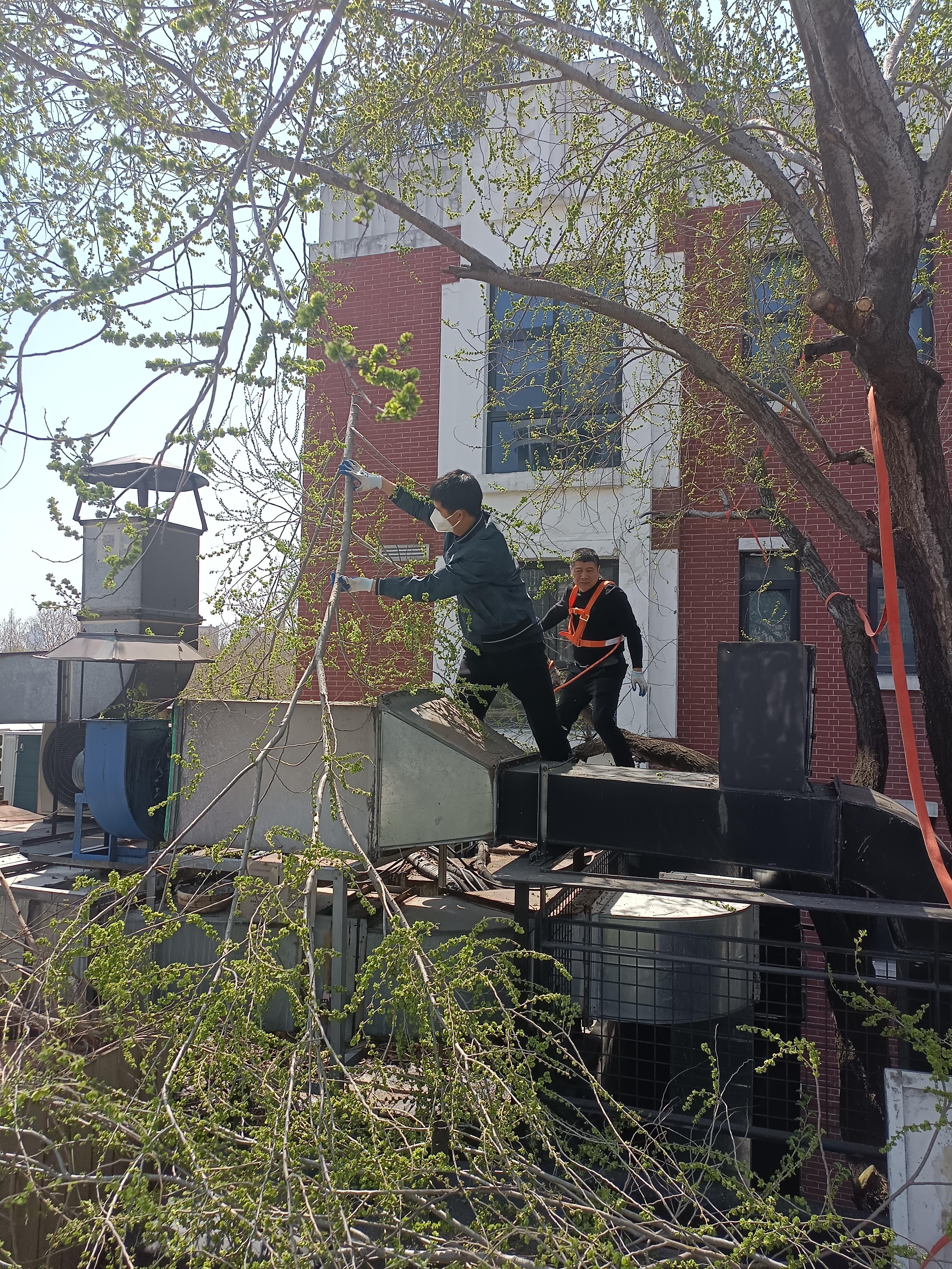 江南体育-惊喜!稳健防线，晋级成功路再添一程
