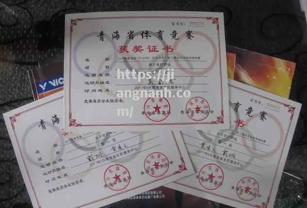 江南体育-荷兰羽毛球运动员奉献精彩表现，斩获奖杯